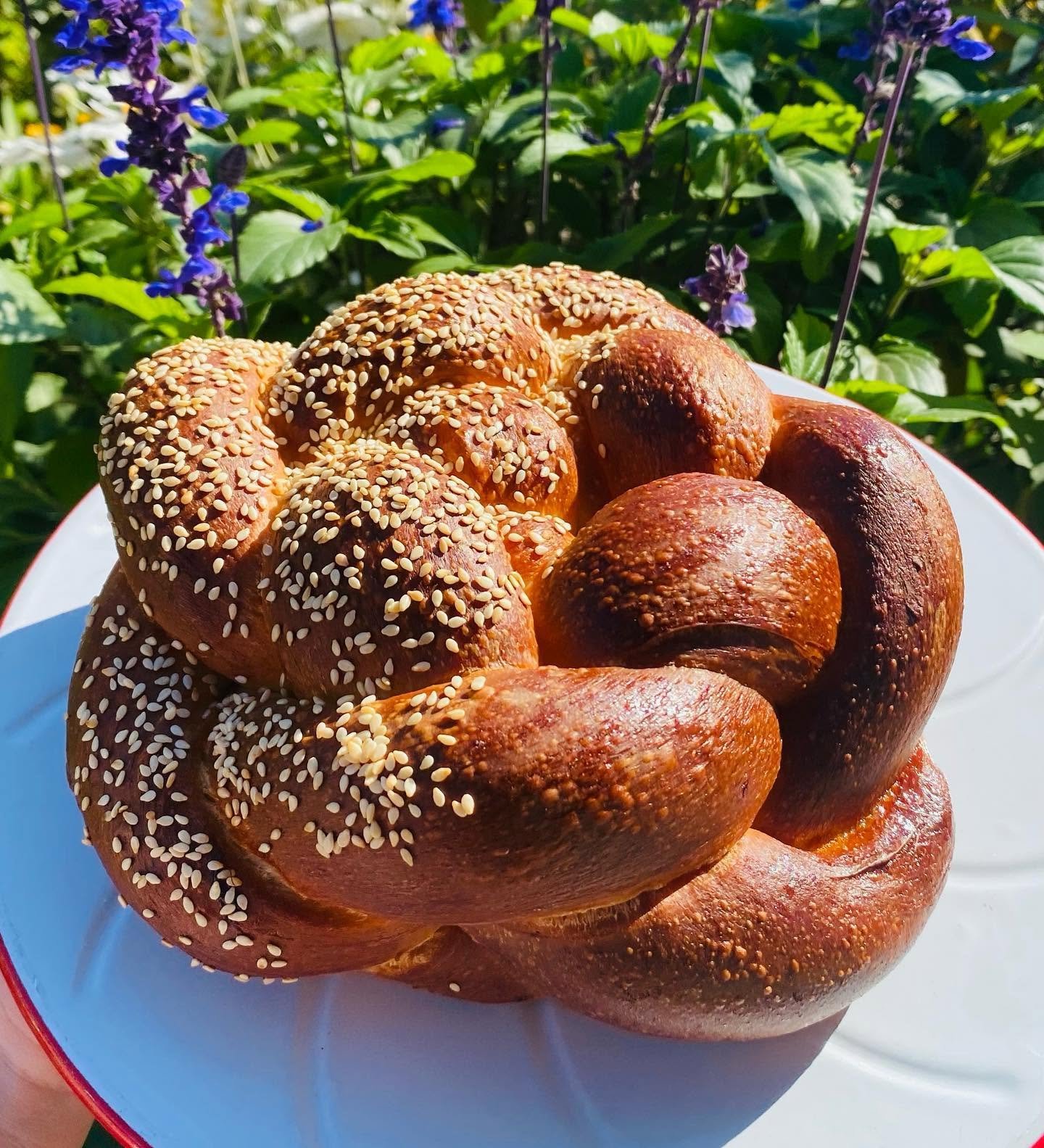 Golden braided sesame challah in the garden