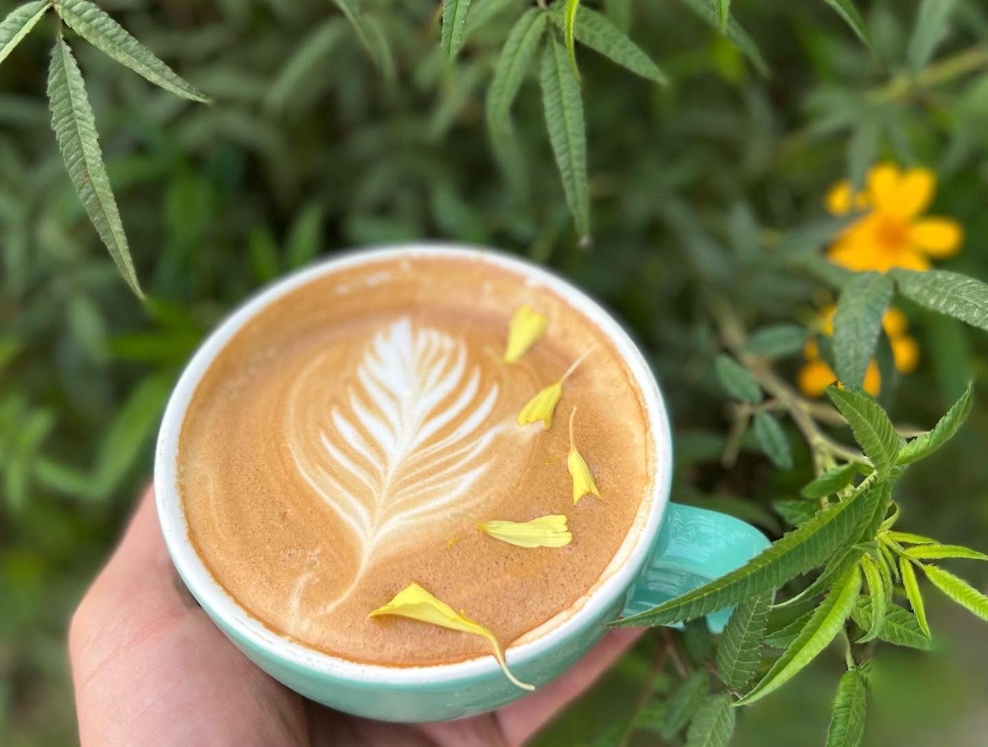 A latte with feathered art among garden greenery